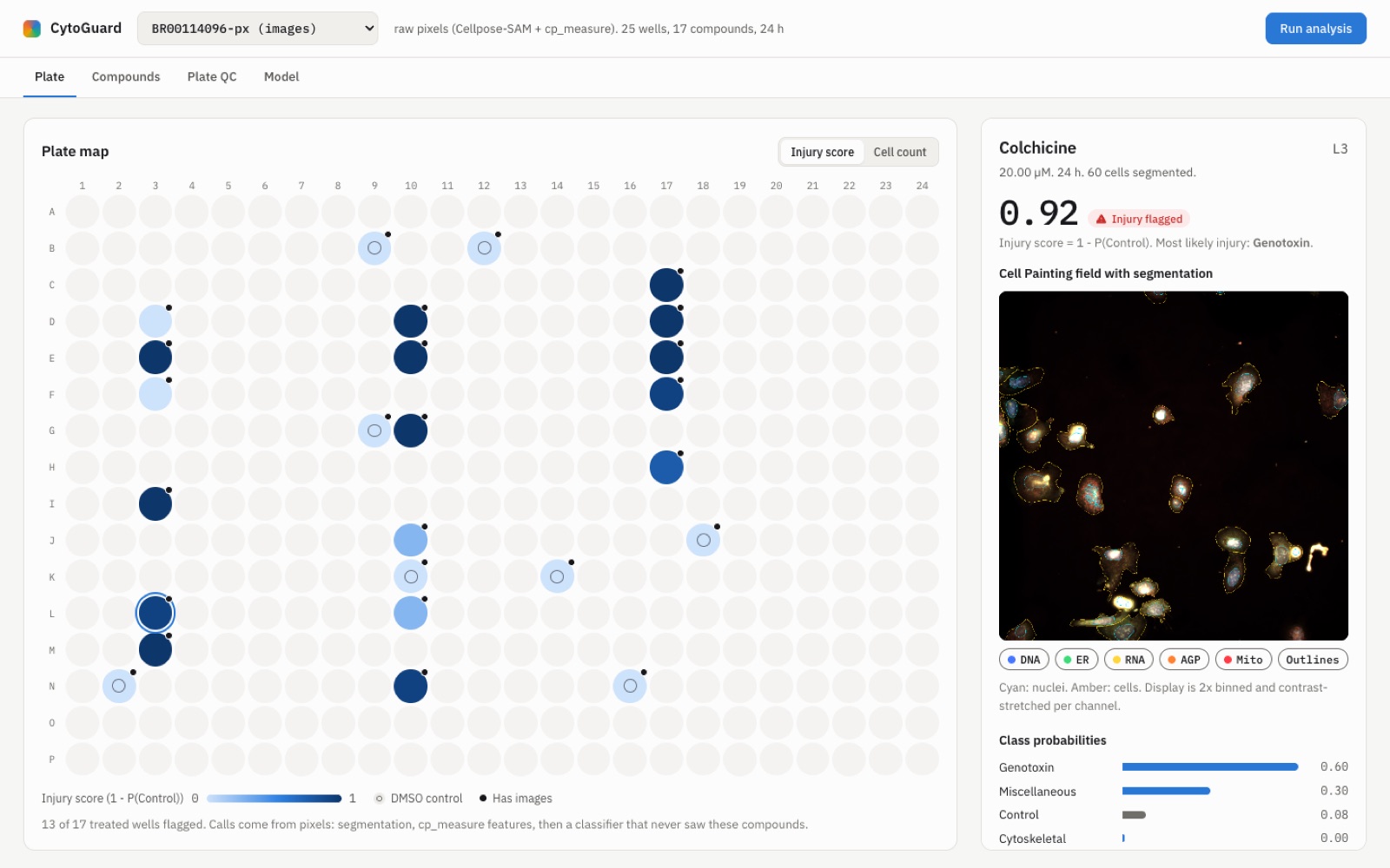 Image viewer showing a colchicine-treated field with sparse, damaged cells and Cellpose-SAM outlines, flagged with an injury score of 0.92